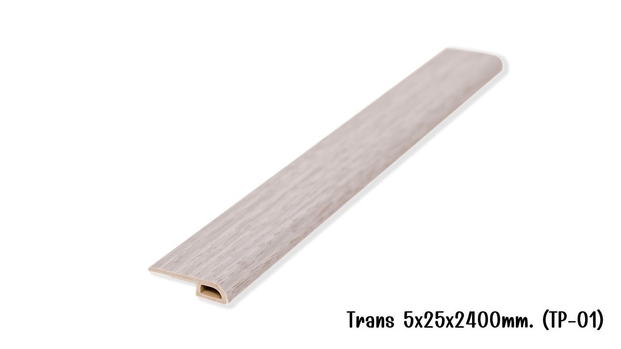 Trans TP-01 5x25x2400mm. 